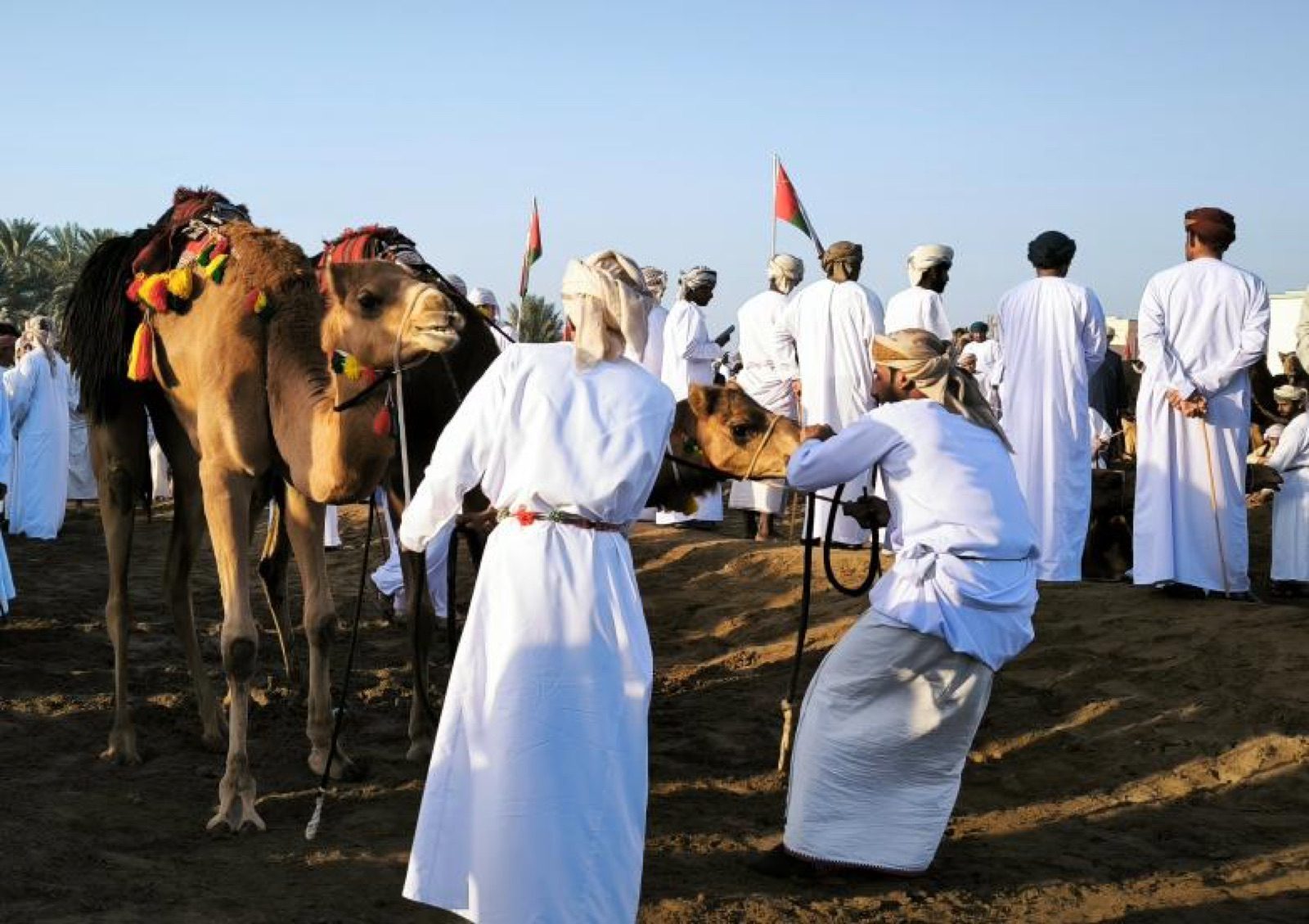 جمال ومشاركون عُمانيون مجتمعون في سباق