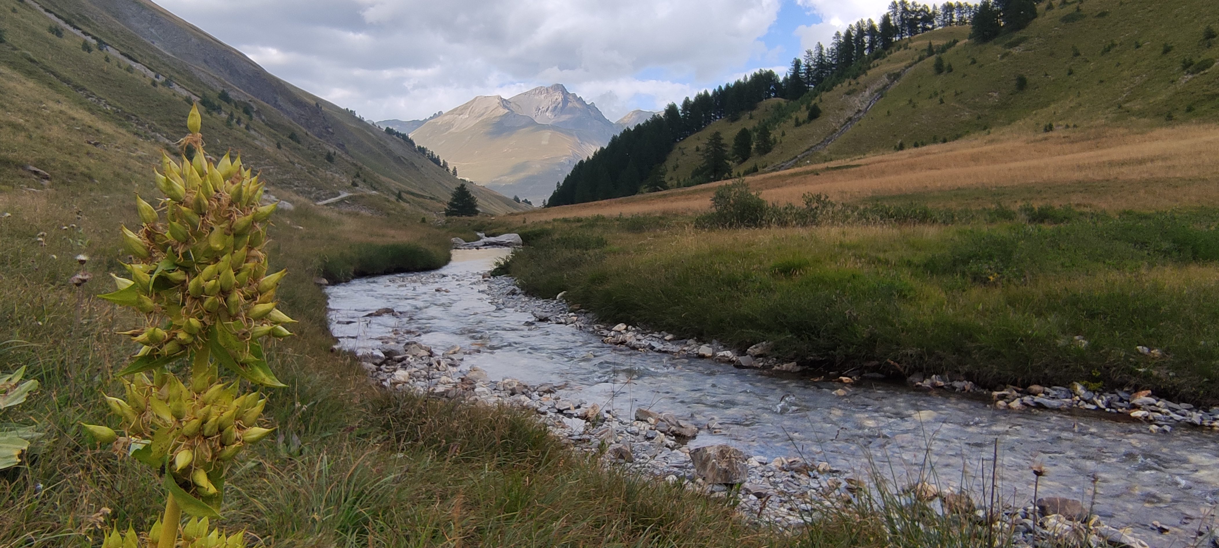 Torrent traversant lentement une vallée alpine ouverte